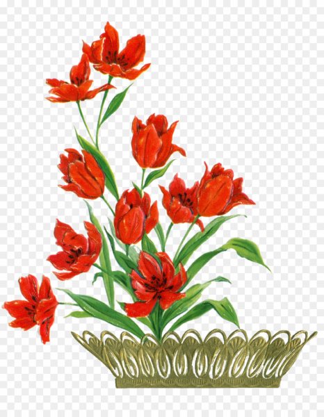 Красивые цветы для плаката