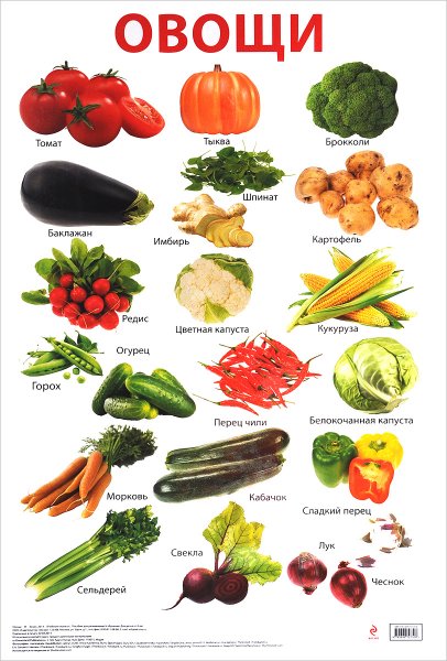 Овощи названия