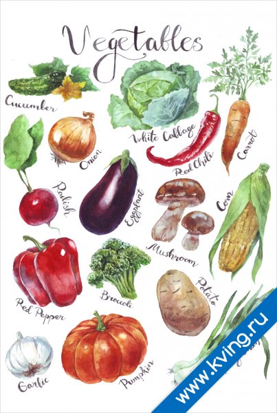 Овощи плакат для детей