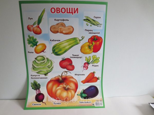 Овощи. Плакат