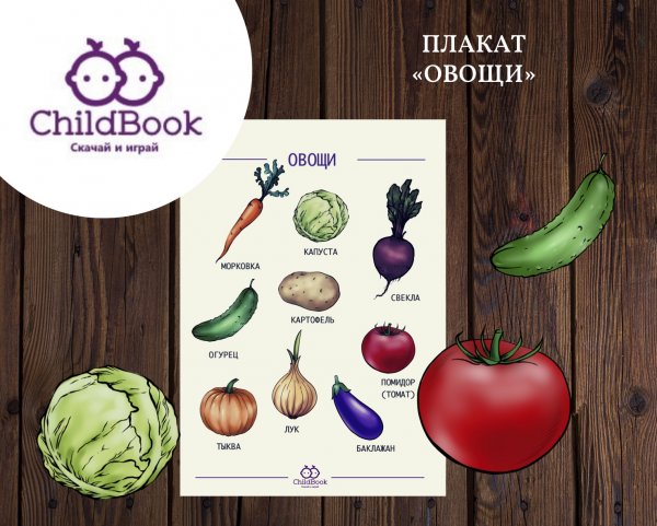 Овощи плакат для детей