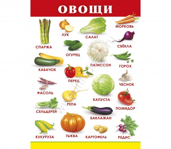 Овощи названия