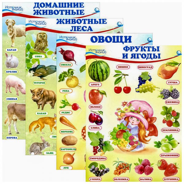 Овощи фрукты плакат для детей