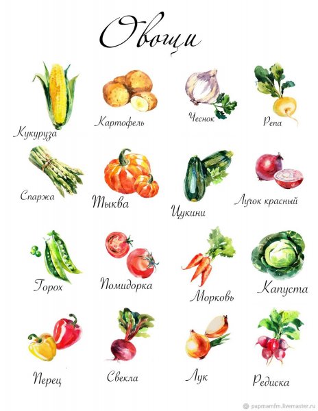 Овощи плакат для детей