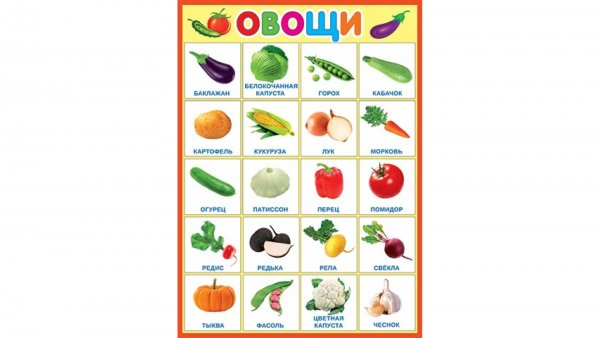 Обучающий плакат овощи
