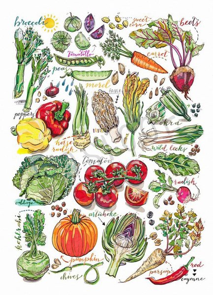 Овощи. Плакат