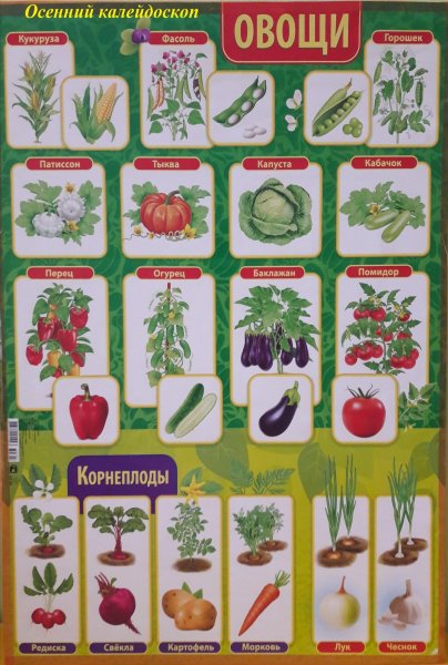 Плакат фрукты и овощи для детского сада