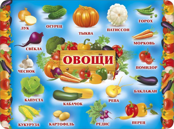 Плакат овощи и фрукты