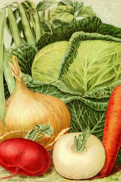 Винтажные овощи