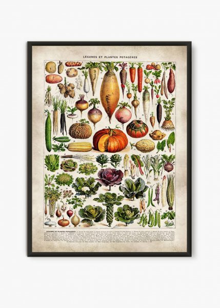 Постер на кухню овощи