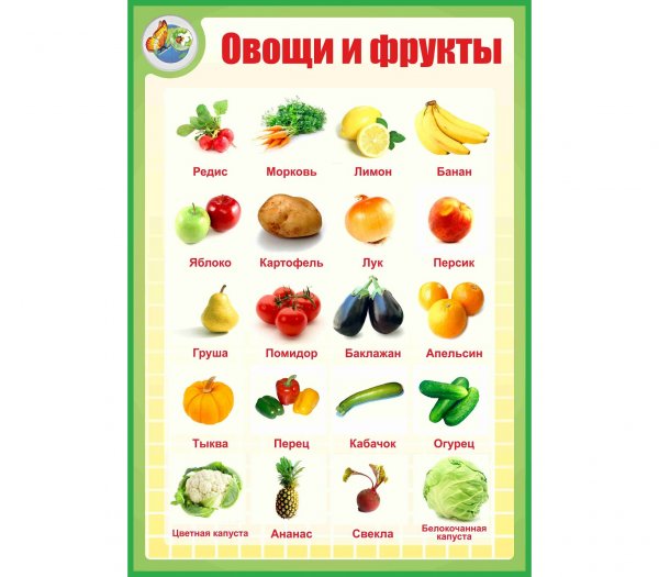 Овощи фрукты плакат для детей