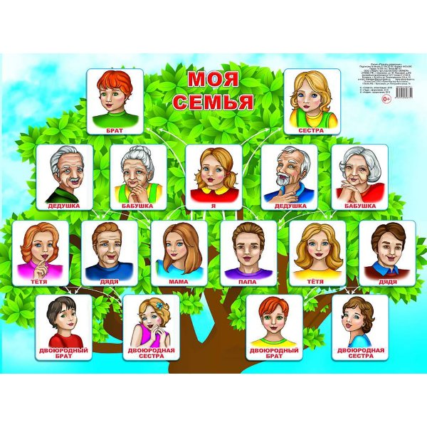 Моя семья