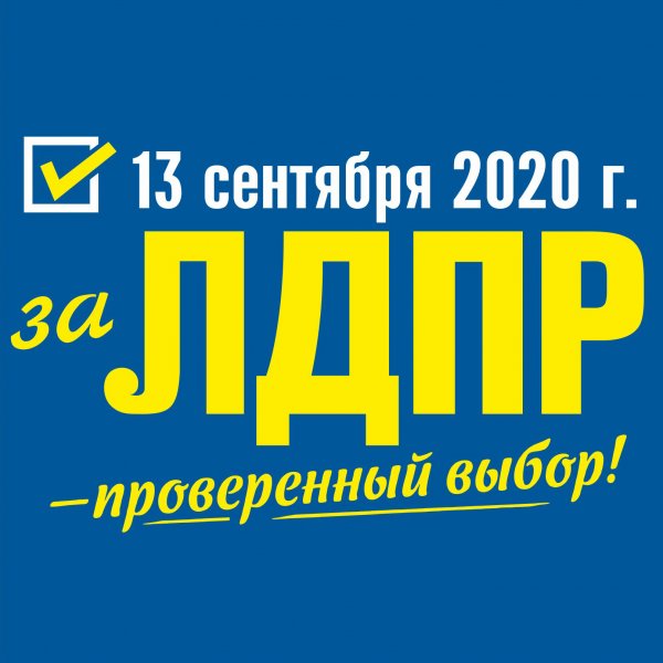 ЛДПР выборы