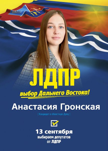 ЛДПР голосуй