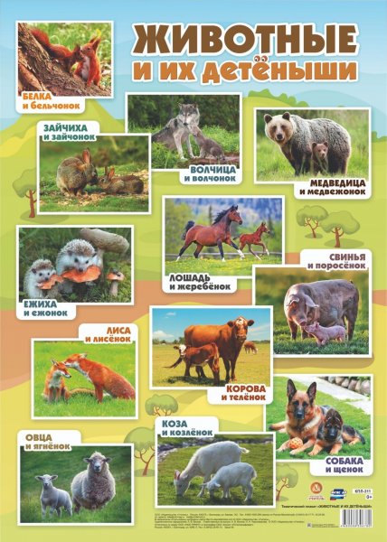 Плакат. Животные России