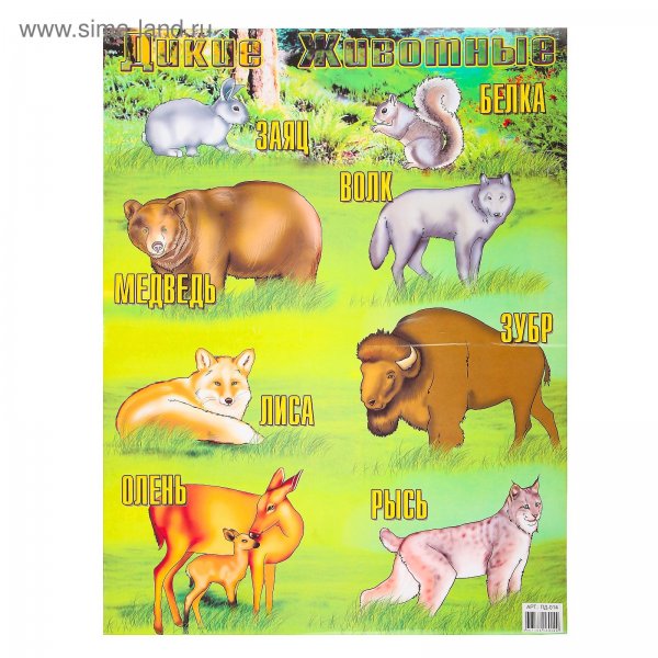 Плакаты с дикими животными