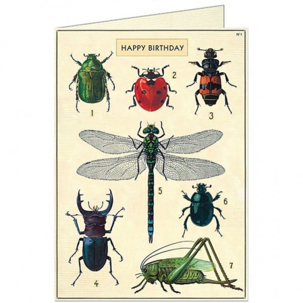 Плакат. Насекомые