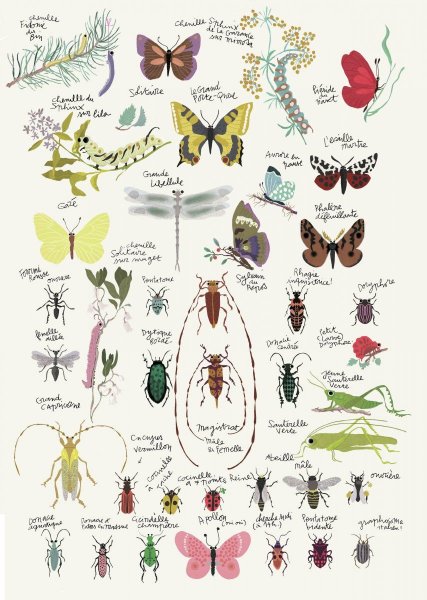 Плакаты насекомых научные