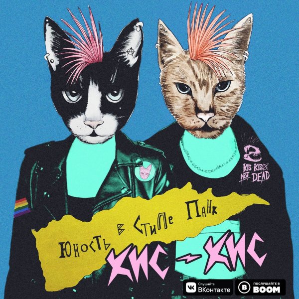 Панк рок плакаты