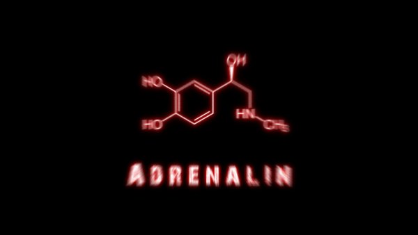 Адреналин 2 высокое напряжение 2009