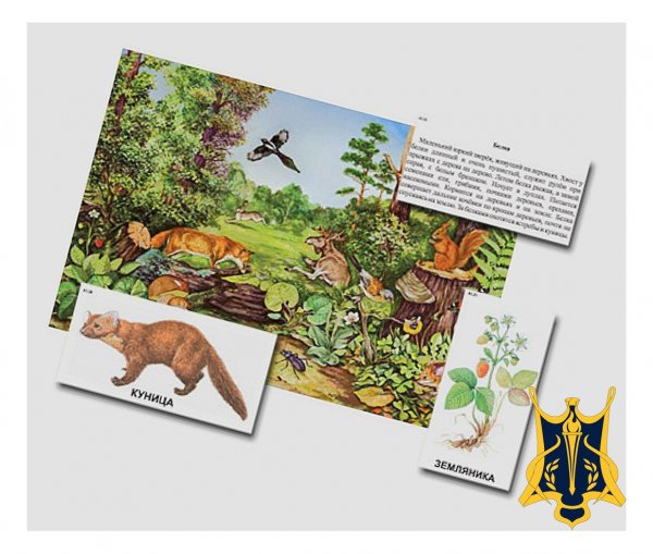 Химия питания Постер