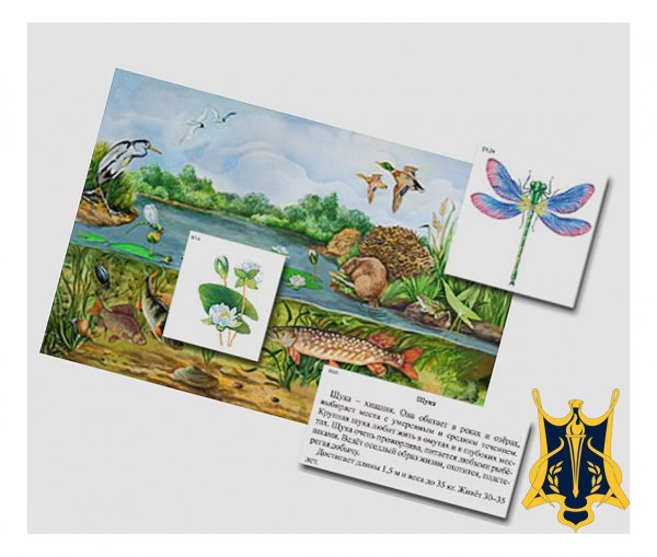 Магнитные плакаты о природе