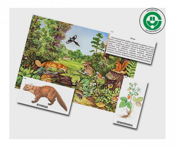 Биоразнообразия плакат