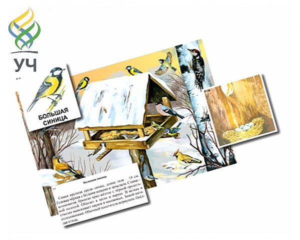 Магнитные заметки для детей