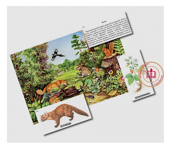 Арифметика до ста