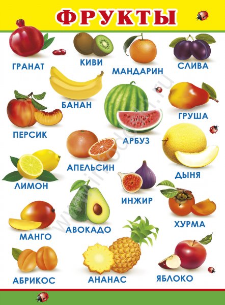 Обучающие плакаты для детского сада