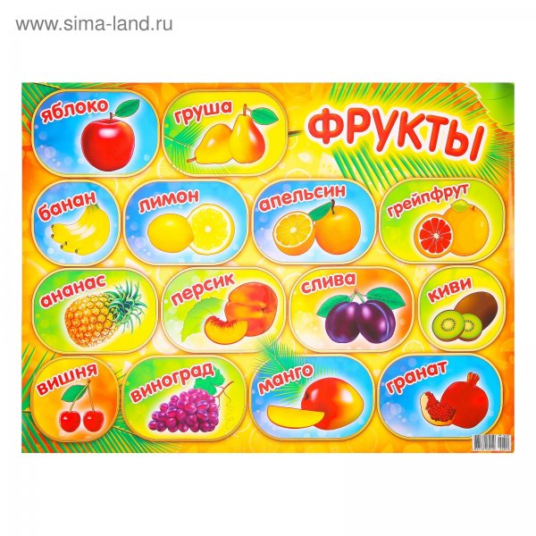 Обучающий плакат фрукты
