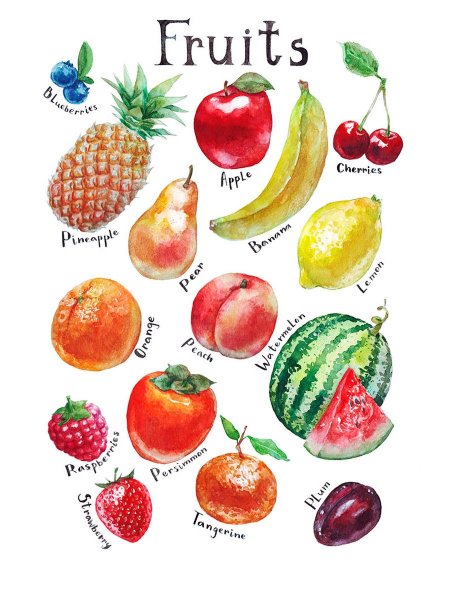 Плакат а2. Фрукты