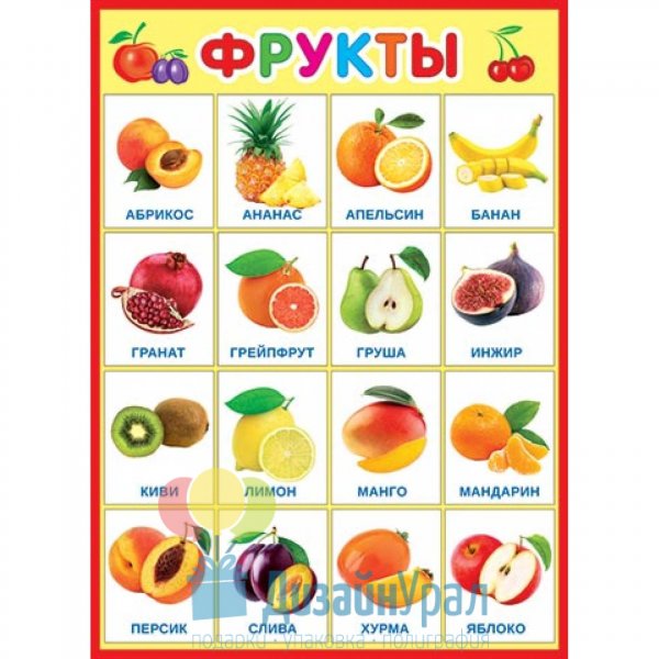 Обучающий плакат фрукты