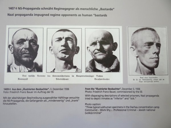 Der Untermensch плакат