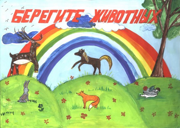 Плакаты экологических активистов