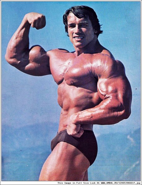 Арнольд Шварценеггер плакаты 90х
