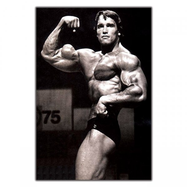 Арнольд Шварценеггер плакат
