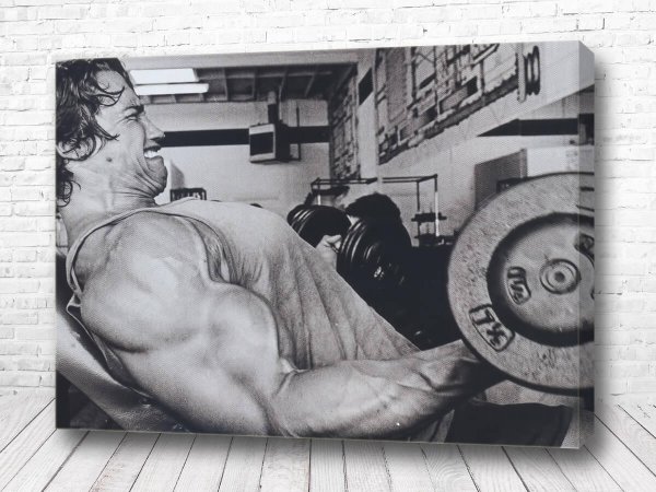 Арнольд Шварценеггер арт бодибилдинг