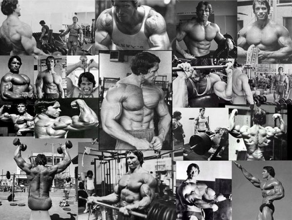 Арнольд Шварценеггер плакаты 90х