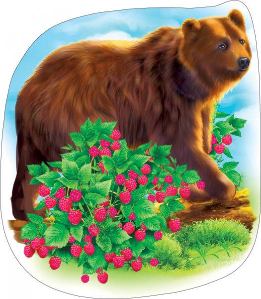 Вырубные плакаты животные