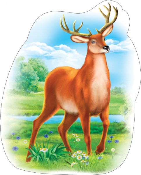 Плакат вырубка животные