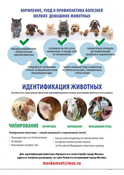Памятки о вакцинации животных