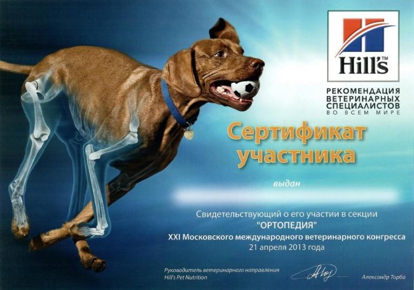Сертификаты ветклиники