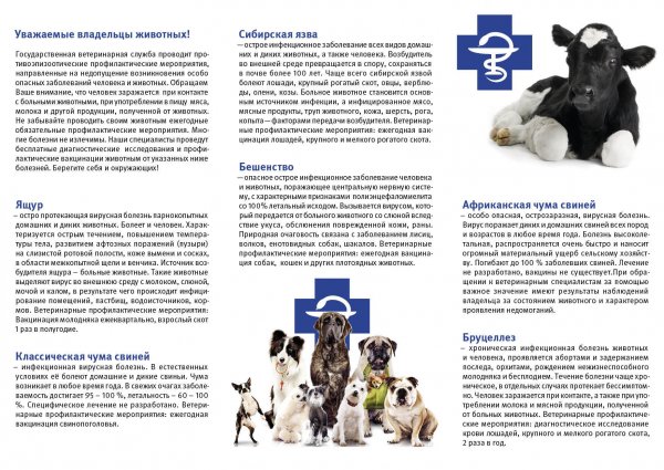 Буклет Ветеринария