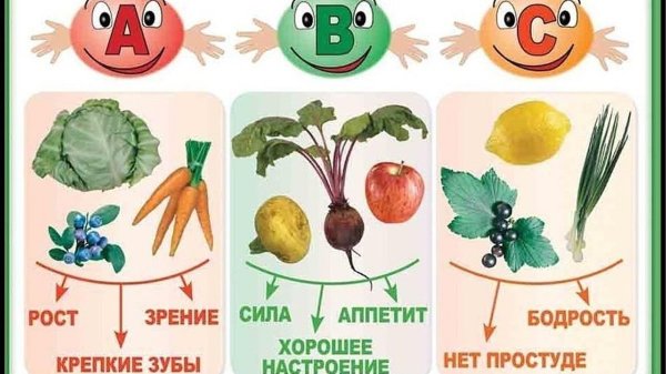 Овощи и фрукты витаминные продукты