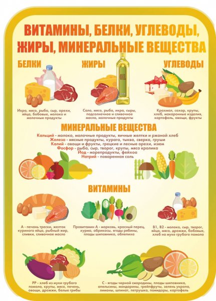 Плакаты для школьной столовой