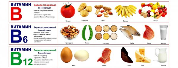 Витамины в продуктах питания таблица для детей