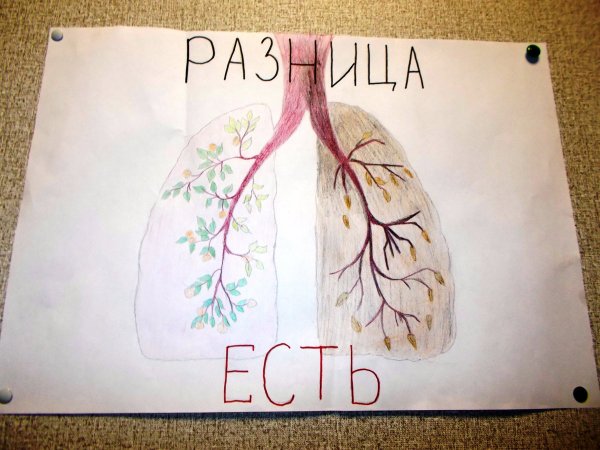 Плакат легких