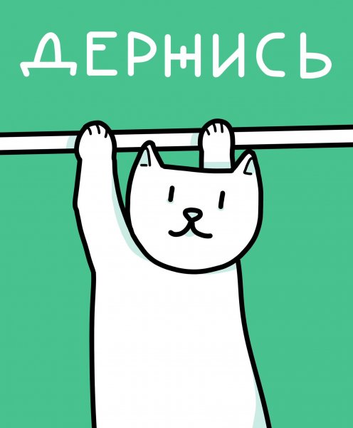 Держись котик