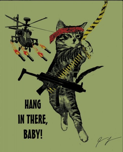 Мотивирующий плакат с котом